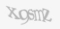 Защитный код